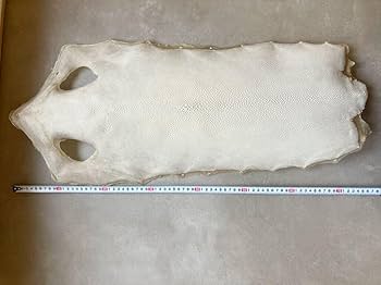 Amazon.co.jp: 特選 柄巻 武道具 刀 鮫皮 脇差 日本刀 エイ皮